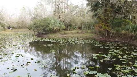 28420 Mullet Rd, Labelle, FL 33935 photo 18