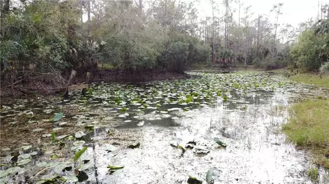 28420 Mullet Rd, Labelle, FL 33935 photo 17