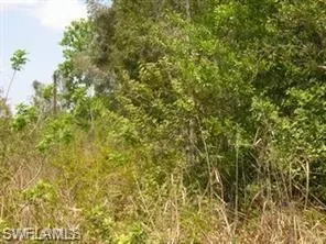 Wild Turkey Dr, Naples, FL 34120