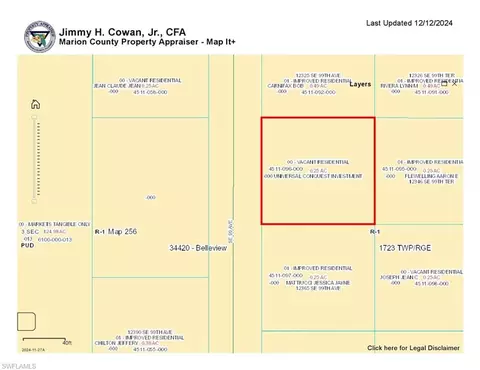 Se 99th Ave, Belleview, FL 34420 photo 3