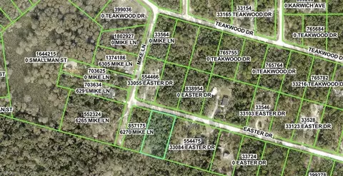 Easter Dr, Webster, FL 33597
