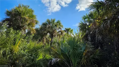 811 Opal Ct, Labelle, FL 33935 photo 3