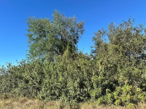 4221 15th St SW, Lehigh Acres, FL 33976