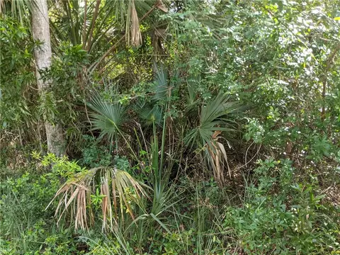 Nnn No Road Access, Naples, FL 34113 photo 7