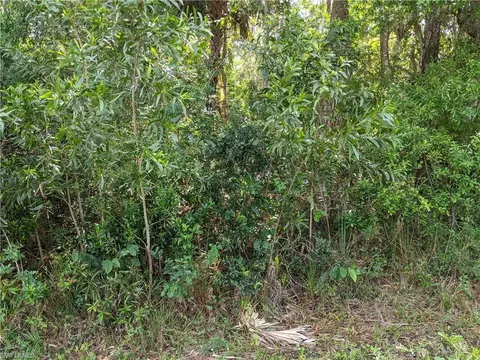 Nnn No Road Access, Naples, FL 34113 photo 6