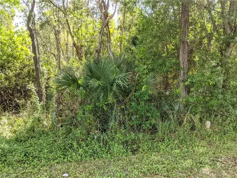 Nnn No Road Access, Naples, FL 34113 photo 4