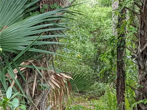 Nnn No Road Access, Naples, FL 34113 photo 5