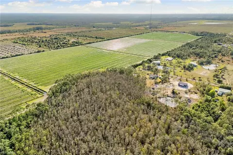 View/Area - 21401 Corkscrew Ranch Rd, Estero, FL 33928 photo 6 of 6