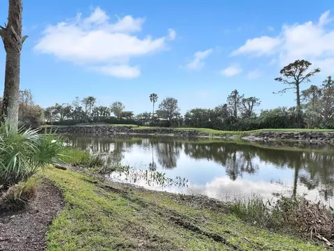20176 Buttermere Ct, Estero, FL 33928 photo 44