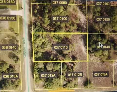 1902 Grant Ave, Lehigh Acres, FL 33972