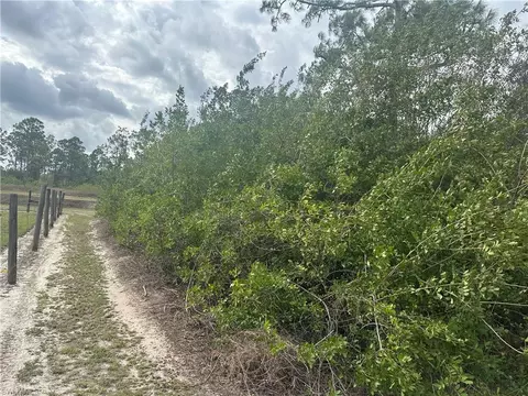 7978 20th Pl, Labelle, FL 33935 photo 3
