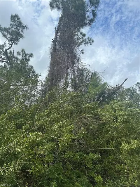 7978 20th Pl, Labelle, FL 33935 photo 5