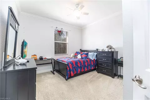 13755 Plati Ct, Estero, FL 33928 photo 20