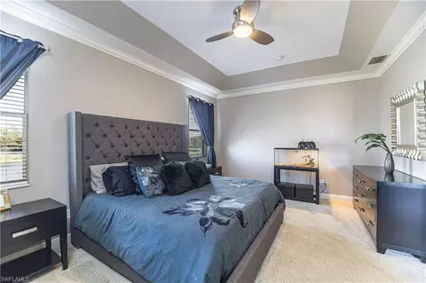13755 Plati Ct, Estero, FL 33928 photo 15