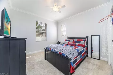 13755 Plati Ct, Estero, FL 33928 photo 19