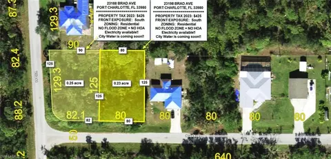 23188 Brad Ave, Port Charlotte, FL 33980