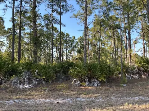 927 Kanuga St E, Lehigh Acres, FL 33974