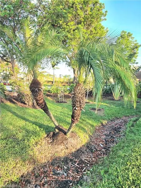 2898 Weeks Ave, Naples, FL 34112 photo 3