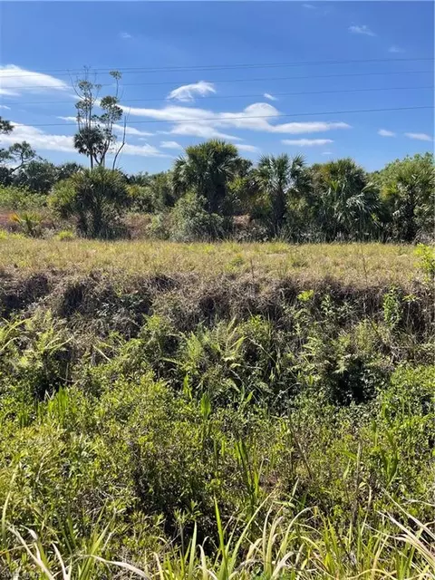 504 E Goodno Rd, Labelle, FL 33935 photo 8