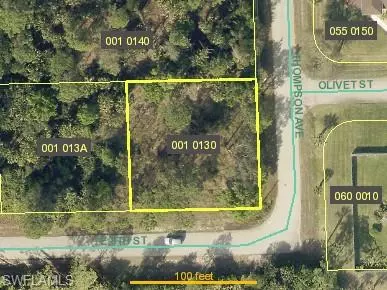 1207 E 8th St, Lehigh Acres, FL 33972