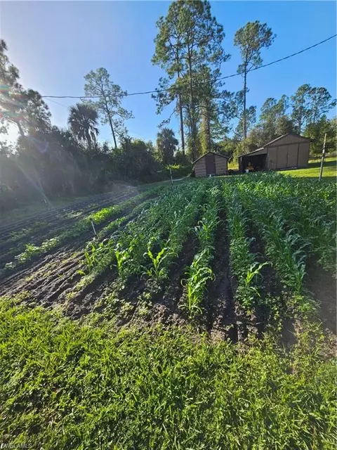 2012 Abbott Ave, Alva, FL 33920 photo 9
