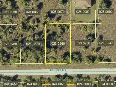 947 Derby St, Lehigh Acres, FL 33974