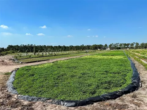 2521 Christopher Ln, Clewiston, FL 33440 photo 3
