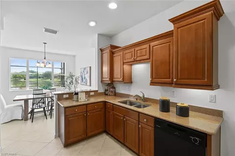 20467 Larino Loop, Estero, FL 33928 photo 11