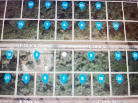 4202 E 30th St, Alva, FL 33920 photo 4