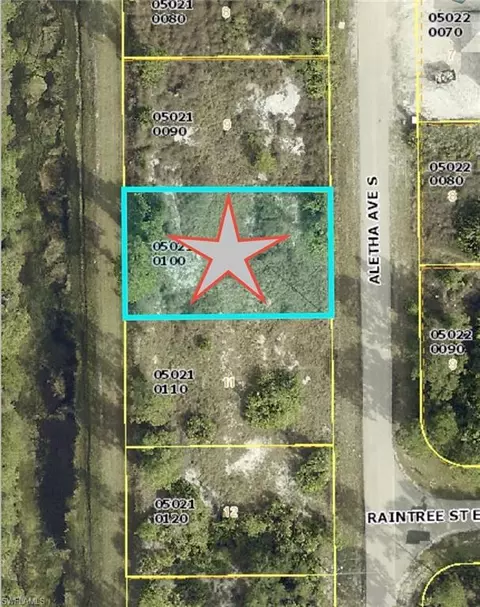 742 Aletha Ave S, Lehigh Acres, FL 33974