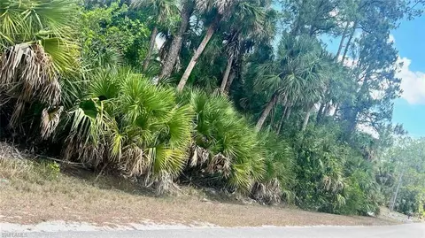 Nnnn Jung Blvd E, Naples, FL 34120