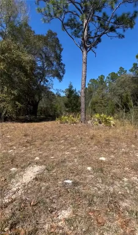 116 Lancaster St, Interlachen, FL 32148