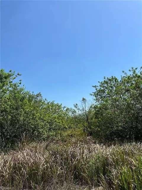6389 6th Rd, Labelle, FL 33935 photo 3