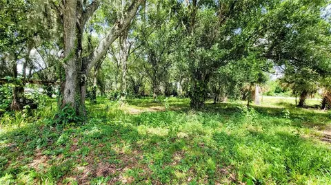 256 Cr-830a, Felda, FL 33930 photo 5