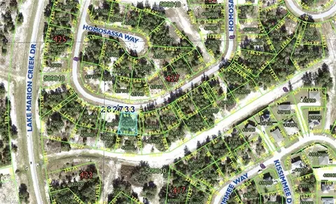 1348 Homosassa Dr, Poinciana Place, FL 34759