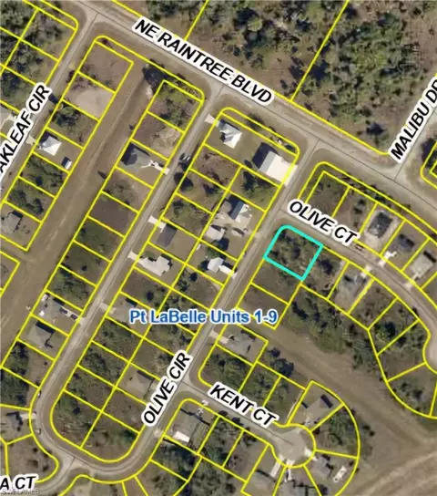 8102 Olive Ct, Labelle, FL 33935 photo 2