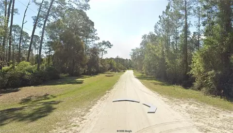 204 Ocala Ct, Georgetown, FL 32139 photo 3
