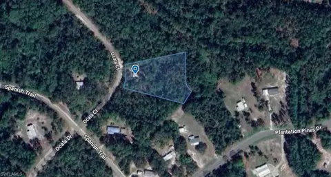 204 Ocala Ct, Georgetown, FL 32139
