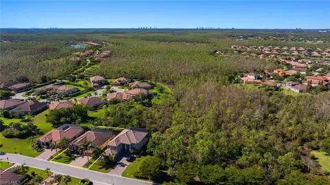 View/Area - 13435 Irsina Dr, Estero, FL 33928 photo 4 of 11
