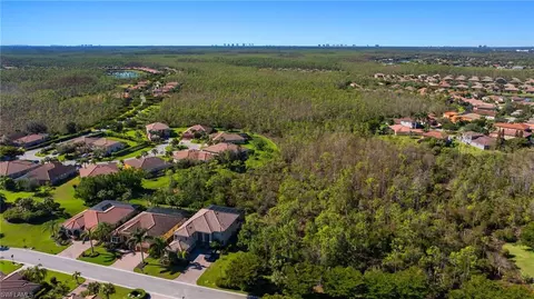 View/Area - 13435 Irsina Dr, Estero, FL 33928 photo 3 of 11