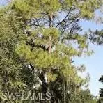 12 Th Ave SE, Naples, FL 34117