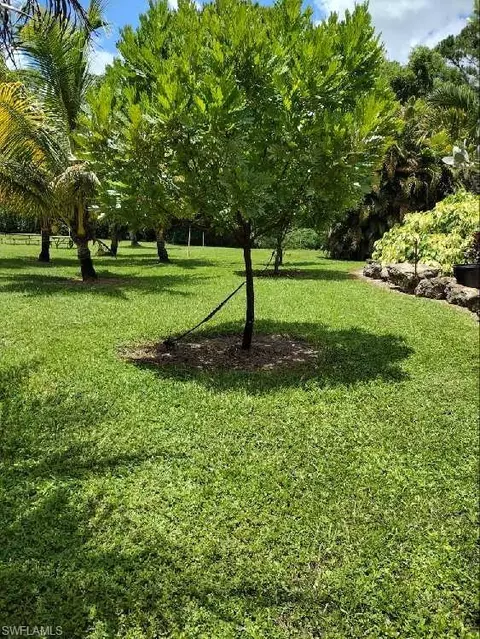 5980 Painted Leaf Ln, Naples, FL 34116 photo 34