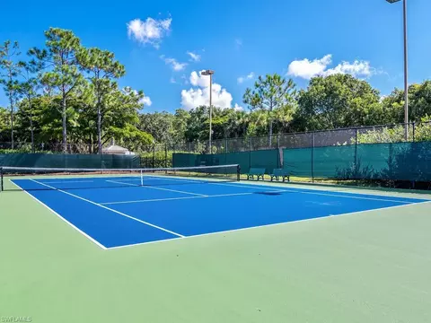 23252 Grassy Pine Dr, Estero, FL 33928 photo 36