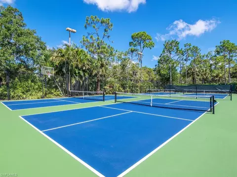 23252 Grassy Pine Dr, Estero, FL 33928 photo 34
