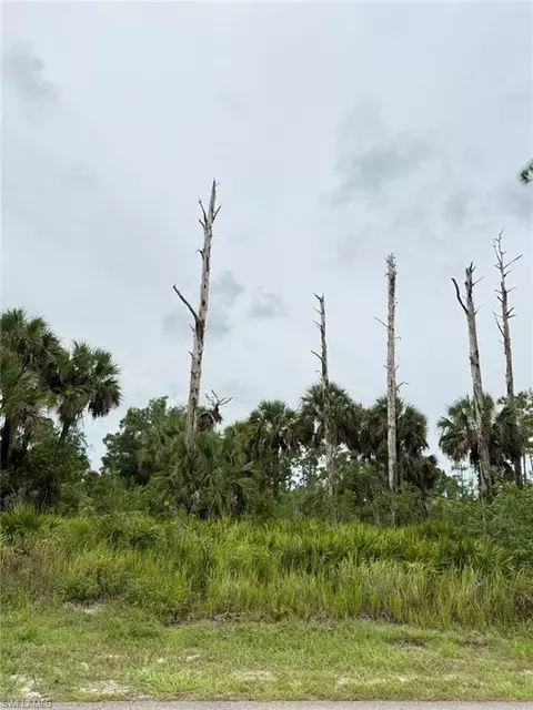 2905 Hanna Ave N, Lehigh Acres, FL 33971