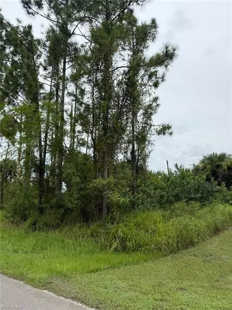 2903 Hanna Ave N, Lehigh Acres, FL 33971