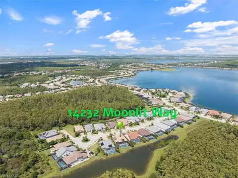 14232 Moonlit Way, Estero, FL 33928 photo 45