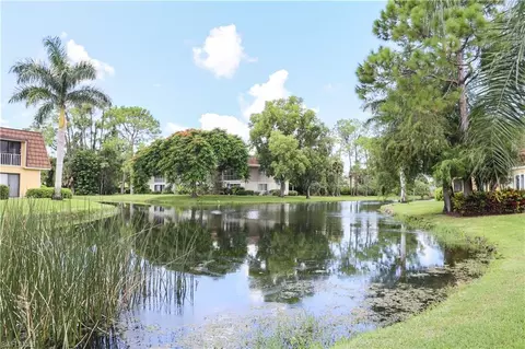 View/Area - 1850 Bald Eagle Dr #404C, Naples, FL 34105 photo 10 of 11