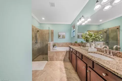 Bath - 19862 Bittersweet Ln, Estero, FL 33928 photo 1 of 4