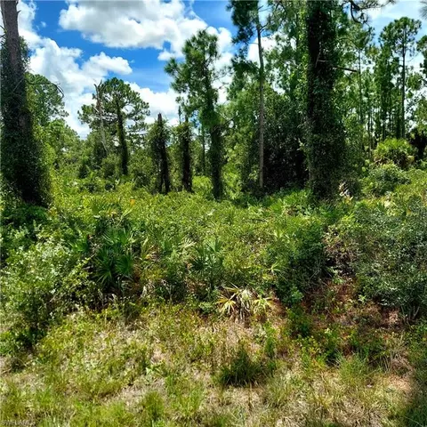 928 Binkley St E, Lehigh Acres, FL 33974